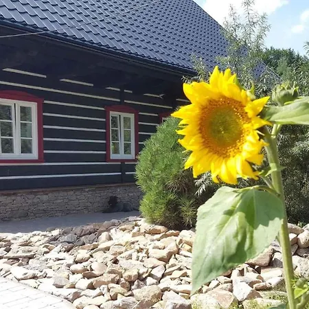 In 30398 * Horní Maršov